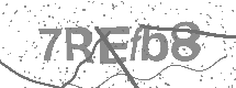 visual captcha